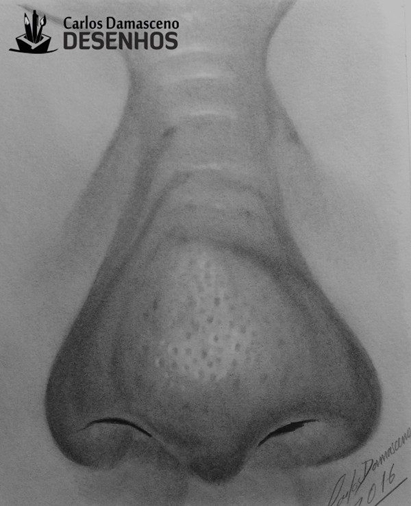 Curso de Desenho Realista de Carlos Damasceno - aula nariz masculino