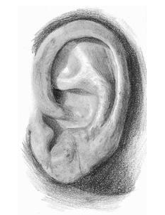 Desenho Realista - orelha