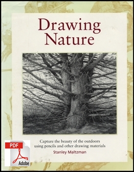 drawing nature