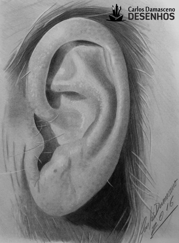 Curso de Desenho Realista de Carlos Damasceno - aula orelha masculina