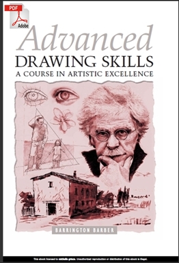Advanced Drawing Skills