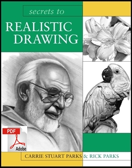 secrets to realistic drawing